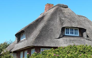thatch roofing New Inn